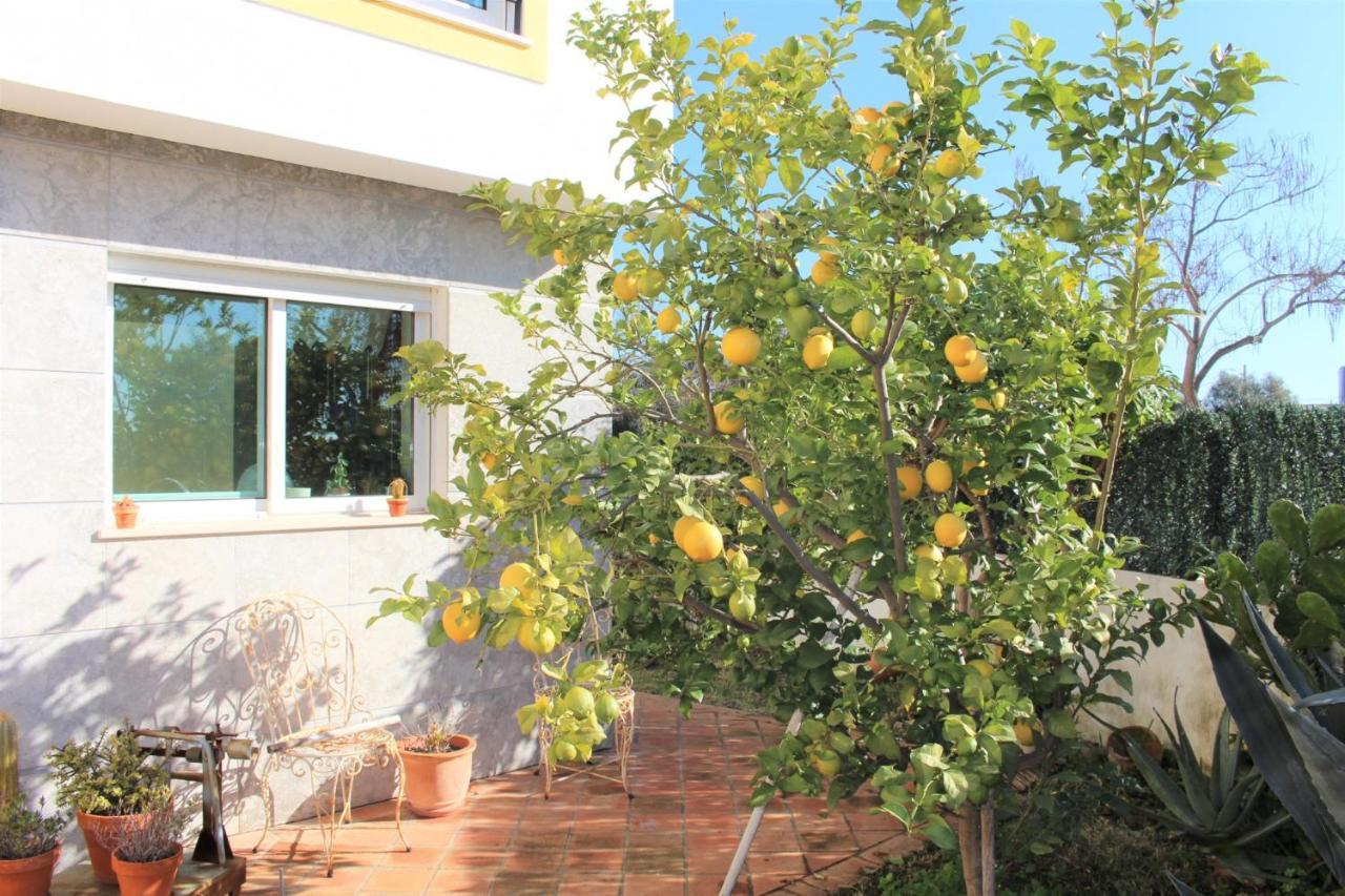 Villa Do Limao Tavira Exterior photo